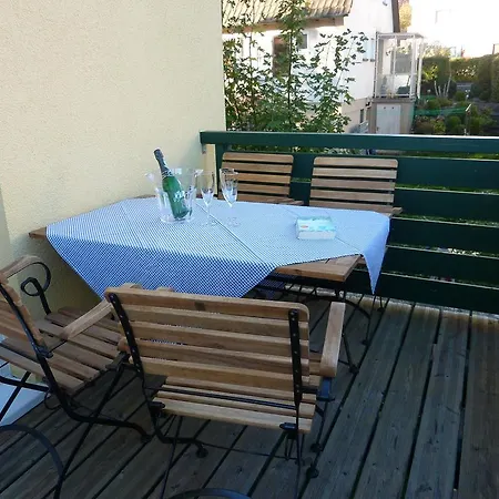 Schwarzwald Light פרוידנשטאדט