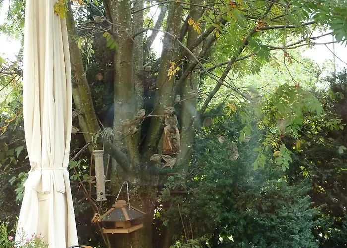 Schwarzwald Light 公寓 弗罗伊登施塔特