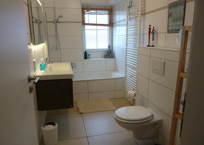 Schwarzwald Light * 弗罗伊登施塔特